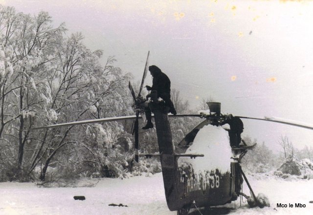 Les Caïmans dans la neige