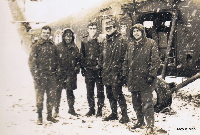 Les Caïmans dans la neige