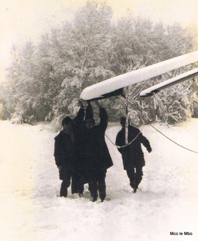 Les Caïmans dans la neige