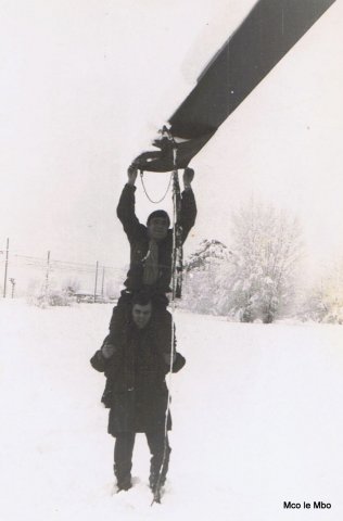 Les Caïmans dans la neige
