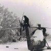 Les Caïmans dans la neige