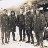 Les Caïmans dans la neige