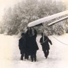 Les Caïmans dans la neige
