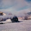 Les Caïmans dans la neige