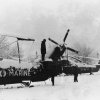 Les Caïmans dans la neige